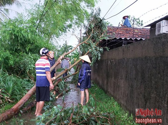 Gió lốc lớn khiến cây cối ngã đổ, đè lên cả mái nhà; gây thiệt hại cho nhiều gia đình trên địa bàn xã Nghi 