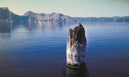 Khúc cây dựng đứng giữa lòng hồ Crater. Ảnh: NPCA.