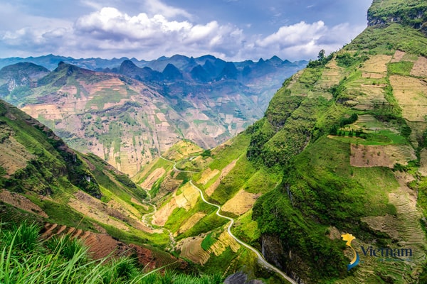 Anh chia sẻ: