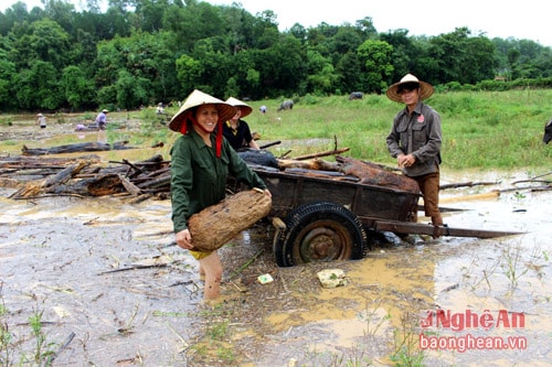 Ai cũng vui mừng vì kiếm được củi nhanh