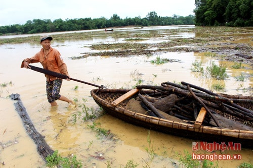  Người dân quanh vùng thường chuẩn bị mỗi nhà một chiếc thuyền nan, khi lũ về thì đưa đi vớt củi. Mái chèo vừa để chèo thuyền vừa làm cái ngoặc kéo củi giữa sông