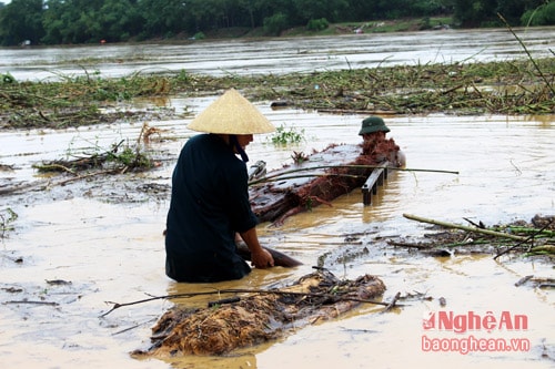    Có người may mắn được cả phiến gỗ