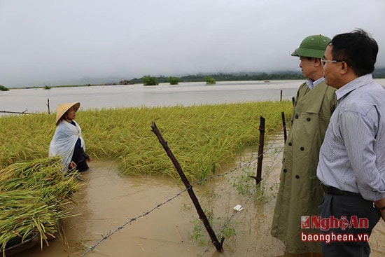 ngay trong những ngày mưa lớn, la nxh đạo tỉnh, huyện đã kịp thời có mặt động viên bà con đồng thời khu