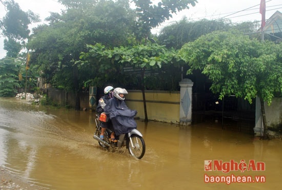 Nhiều nhà dân ở bản Khe Ló, xã Môn Sơn bị nước tràn vào.