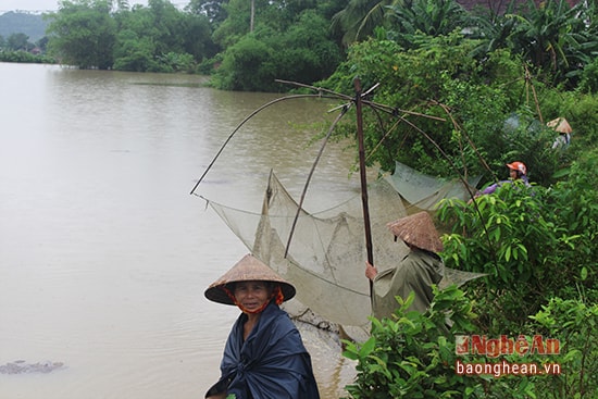  Theo người dân trên địa bàn xã Giai Xuân cho hay, tầm 4- 5 giờ sáng ngày 14/9 trên địa bàn mưa to, nước dâng cao 