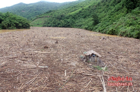 Chỉ trong ngày 14/9 vừa qua, lũ đã quét qua 4 xã vùng trong là Yên Tĩnh, Yên Hòa, Nga My, Yên Na của huyện Tương Dương khiến nhiều nhà cửa, đồ đạc, hoa màu của người dân bị thiệt thại nghiêm trọng. Nhà cửa, các vật dụng trong gia đình, của cải, rác rưởi... đổ về chất đầy ở khu vực cầu Huổi Nguyên xã Tam Đình khiến cho nơi này trở thành một bãi rác nổi khổng lồ trên lòng hồ Thủy điện Khe Bố.