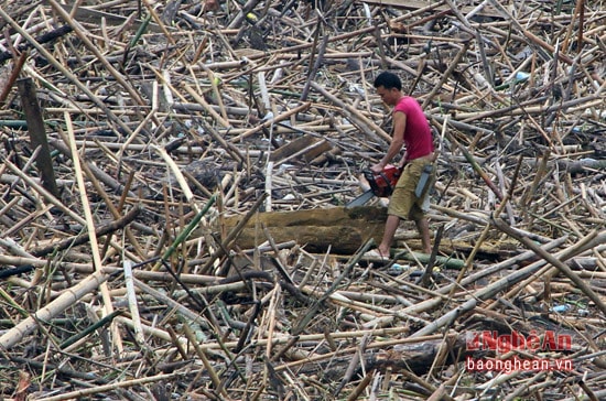 Có nhiều người còn mang cả máy cưa xăng lên trên bãi rác, xẻ những khúc gỗ cỡ lớn để dễ dàng đưa lên bờ hơn.