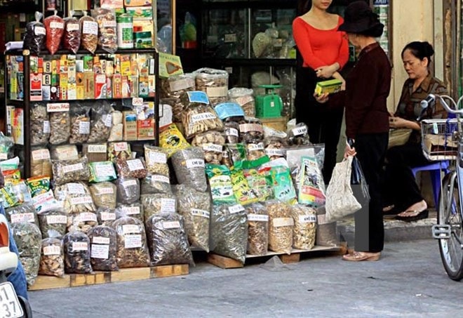 Chất lượng của dược liệu nhập khẩu khiến nhiều người dùng lo lắng. (Ảnh: TTXVN/Vietnam+)