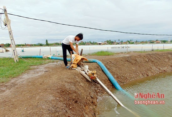 Việc chuẩn bị các điều kiện, phương tiện sẵn sàng sẽ giảm thiểu thiệt hại trong nuôi trồng thủy sản mùa mưa bão. 