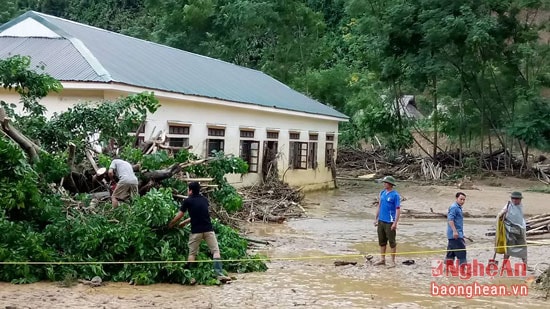Phải mất nhiều thời gian để dọn dẹp sạch khuôn viên nhà trường vì cây cối đổ ngổn ngang.