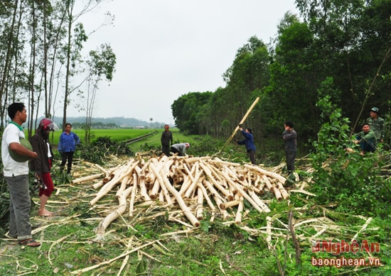 Phong trào thi đua sản xuất được đẩy mạnh trên cơ sở khắc phục, biến khó khăn thành thuận lợi