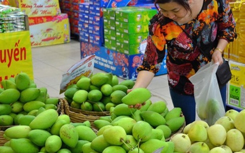 Xoài là mặt hàng trái cây thứ hai của Việt Nam (sau trái vải) được Australia cấp phép nhập khẩu