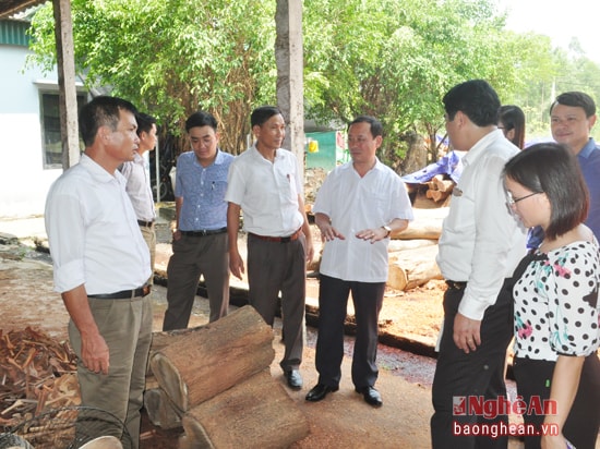 Thông qua phát động phong trào thi đua phát triển ngành nghề, dịch vụ, xã Nghi Lâm đã thu hút được nhiều dự án vào đầu tư trên đại bàn, góp phần giải quyết việc làm tại chỗ cho khoảng 1.000 lao động