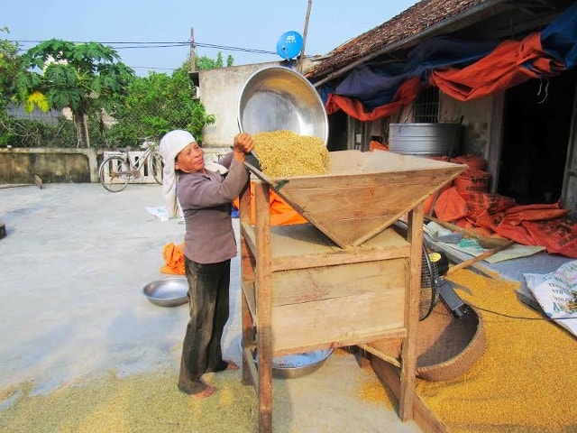 Bà Đào Thị Nguyên (Diễn Nguyên