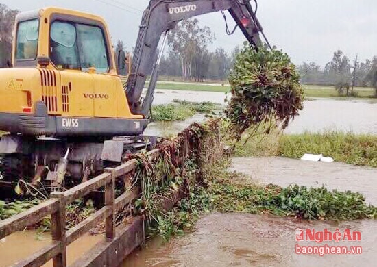 Máy xúc vớt bèo ùn tắc do mưa lụt trên tuyến kênh tiêu chính đi qua mấy xã của Nghi Lộc và TP Vinh.