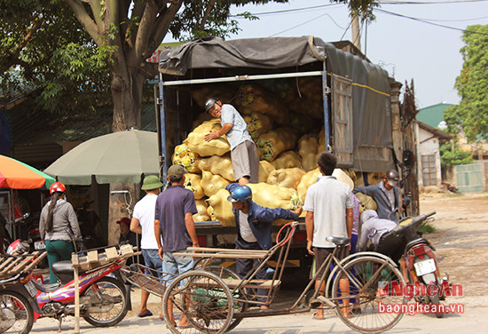 Xe tải chở hàng chục bao tải bưởi đậu trước chợ Ga được giới thiệu tới người mua là bưởi Phúc Trạch 100% xịn