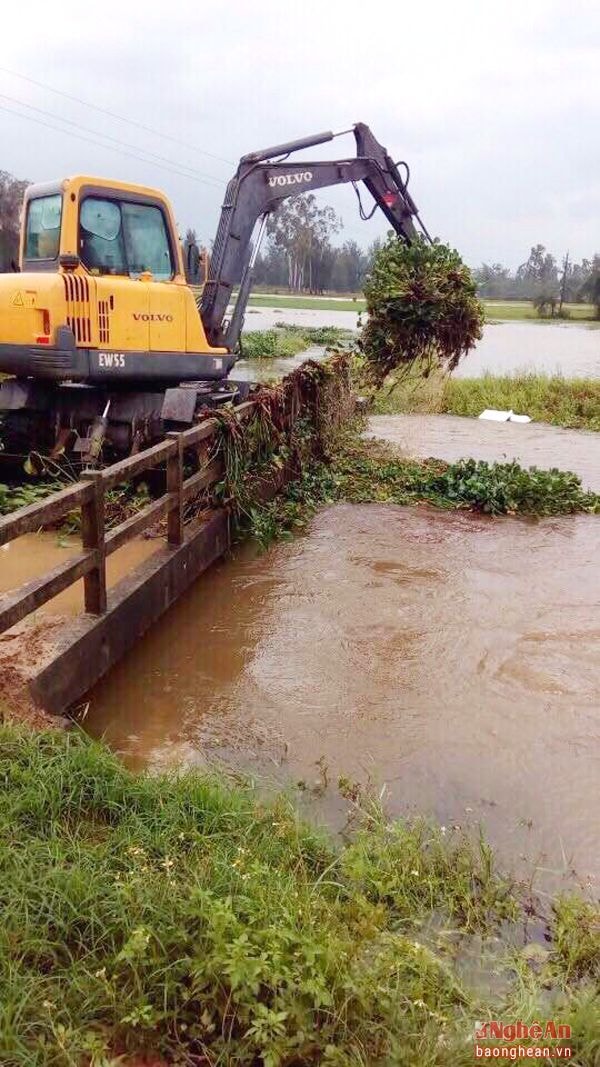 Máy xúc vớt bèo ùn tắc do mưa lụt trên tuyến kênh tiêu chính đi qua mấy xã của Nghi Lộc và TP Vinh.