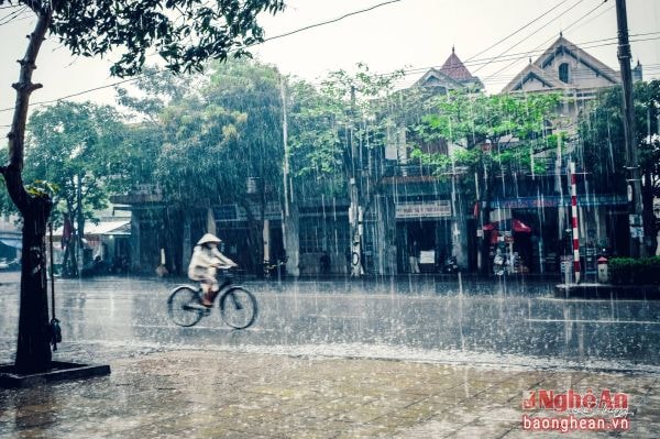 Mưa trên phố Vinh. Ảnh: Lê Thắng