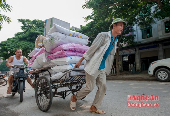 Những người đạp xích lô quanh chợ Vinh chủ yếu là trung niên đến cá biệt có người đã ngoài tuổi 