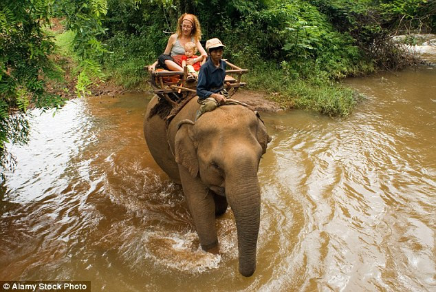 Sự việc xảy ra khi ông Sreang đến chuồng của con voi để dẫn nó ra chỗ du khách, những người muốn cưỡi voi đến thác nước.