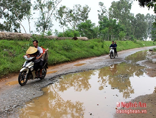 Đây là con đường xuyên suốt nhiều xã của vùng Năm Nam nên hàng ngày lượng người và phương tiện qua lại đông. Người dân các xã Nam Trung, Nam Cường đang hi vọng con đường sớm được cải tạo, nâng cấp để người dân đỡ khổ.