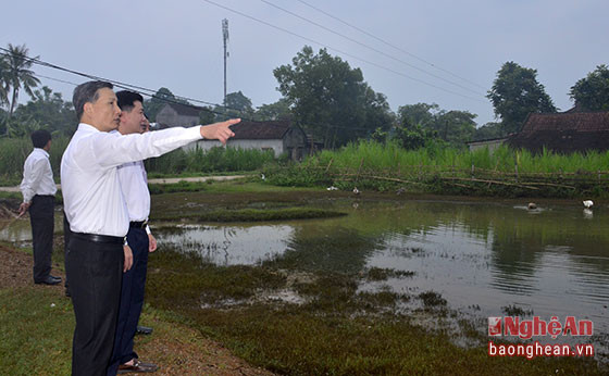 Phó Bí thư Tỉnh ủy Lê Quang Huy kiểm tra việc xử lý điểm tồn dư thuốc BVTV tại thôn 5, xã Thọ Sơn.