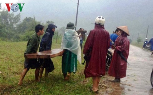 Nhóm lâm tặc cướp gỗ ngay trước mắt Tổ kiểm lâm Vườn Quốc gia Phong Nha - Kẻ Bàng