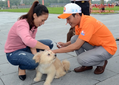 Hưởng ứng lễ mít tinh, nhiều người dân thành phố vinh đã đưa vật nuôi đến tiêm vắc xin phòng bệnh dại.