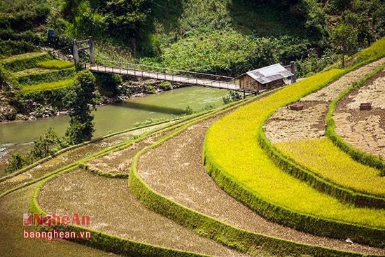 Một góc ruộng bậc thang ở xã La Pán Tẩn