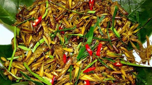 Grasshoppers are delicious food which many people enjoy.