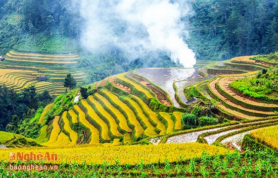 Mây sà trên ruộng