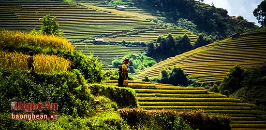 Mẹ địu con trở về nhà