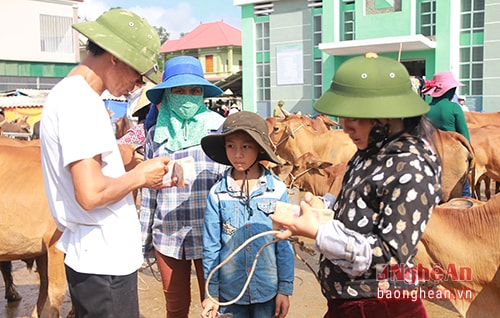 Chợ Ú họp 6 phiên mỗi tháng, vào các ngày 1, 6, 11, 16, 21, 26 âm lịch. Phiên chợ tạo công ăn việc làm cho hàng trăm hộ gia đình ở xã Đại Sơn cũng như các địa phương lân cận, trong đó có đội ngũ không nhỏ chuyên làm nghề dắt thuê trâu bò.