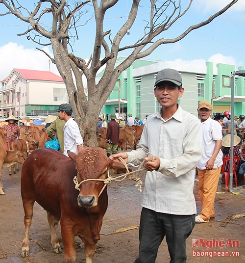 Chợ diễn ra từ khoảng 4h sáng đến tầm 10h trưa. Hàng chục người làm nghề dắt trâu thuê đã có mặt tại chợ từ lúc còn sớm. Tùy thuộc vào quãng đường dài hay ngắn, mỗi con sẽ được lái buôn trả công nhất định.