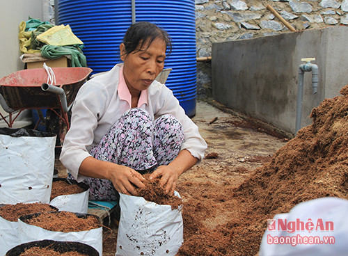 Dung dịch thủy canh chính là phân hữu cơ vi sinh pha với nước theo tỷ lệ nhất định để cung cấp dinh dưỡng cho cây. Giá thể trồng dưa lưới gồm xơ dừa và phân bò theo tỷ lệ 7:3. Phân bò cần ủ hoai bằng men vi sinh trichoderma, sau đó phơi khô để loại bỏ nấm mốc và sâu bệnh trước khi trộn với xơ dừa.