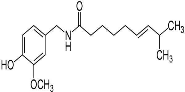 Cấu trúc phân tử của chất cay capsaicin có trong quả ớt. (Ảnh từ Internet)