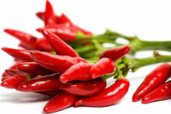 Quả ớt càng cay, chất capsaicin (độc tố) càng nhiều.
