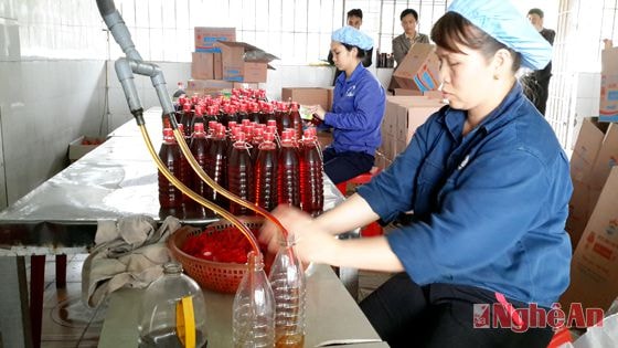 Đóng chai sản phẩm nước mắm tại Công ty cổ phần thủy sản Vạn Phần (Ảnh minh họa)