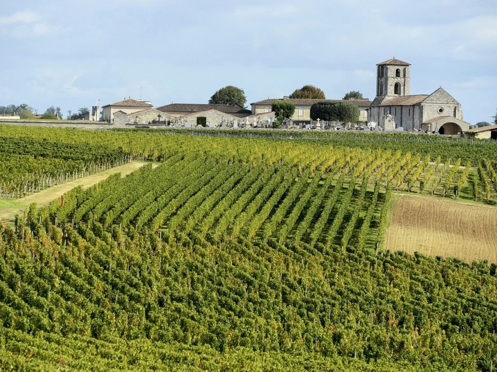 Rượu Bordeaux ở Bordeaux, Pháp: Rượu Bordeaux được chế biến ở vùng cùng tên tại Pháp, đây cũng là vùng sản xuất rượu vang lớn nhất quốc gia này. Tới Bordeaux, du khách sẽ được chiêm ngưỡng những cánh đồng nho rộng ngút tầm mắt, tham quan các xưởng rượu và thưởng thức 60 loại rượu Bordeaux, cùng nhiều đặc sản địa phương. 