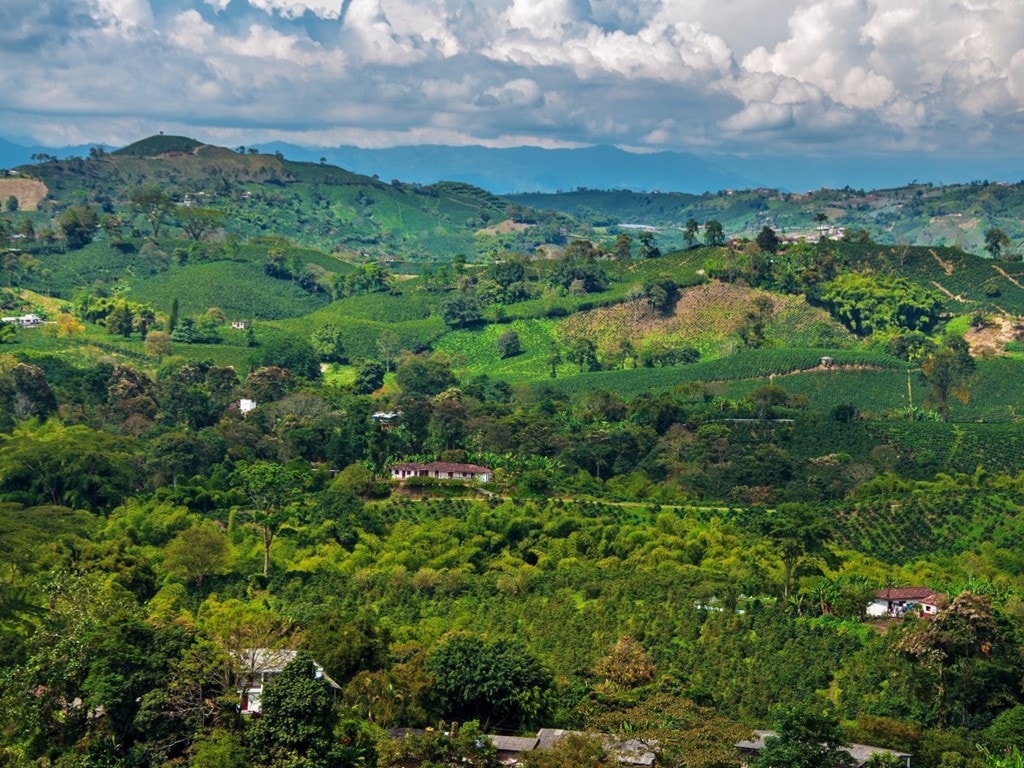 Cà phê ở Zona Cafetera, Colombia: Cà phê Colombia được mệnh danh là tuyệt nhất thế giới. Zona Cafetera hay tam giác cà phê là nơi lý tưởng để du khách khám và thưởng thức món đồ uống này, gồm 3 vùng Caldas, Risaralda và Quindío. Khu vực này có vô số các đồn điền cà phê luôn sẵn lòng chào đón khách, cùng một công viên giải trí chủ đề cà phê có tên Parque del Café. 