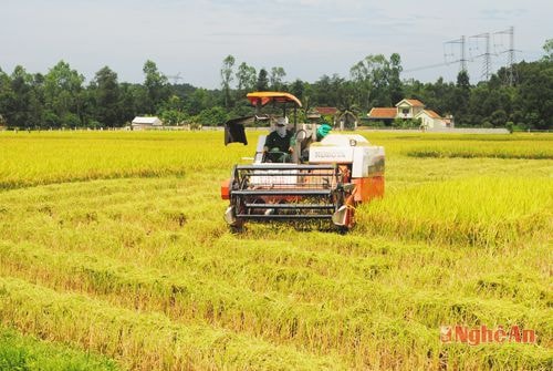 Cơ giới hóa nông nghiệp ở xã Tiến Thành, Yên Thành. Ảnh tư liệu Báo Nghệ An 