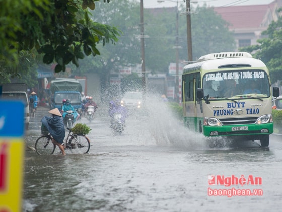 Đoạn ngập nước trước chợ Đước thường xuyên gặp cảnh xe khách, xe bus chạy  tốc độ cao, đuổi nhau bắt khách, tạt nước tứ tung bất chấp người đi đường khác