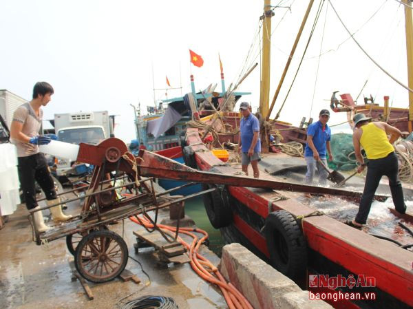 Ngư dân xã Sơn hải, Quỳnh Lưu chuẩn bị cho chuyến ra khơi.