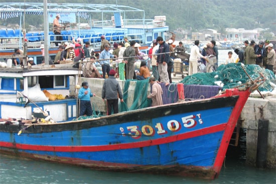 Ảnh minh họa.