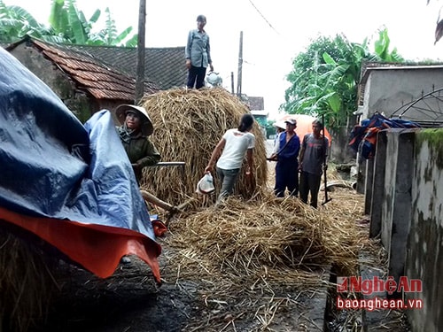 Bà con trong xóm Luân Phượng giúp gia đình anh Lương chuyển số rơm còn sót lại sau vụ cháy đưa đi gửi.