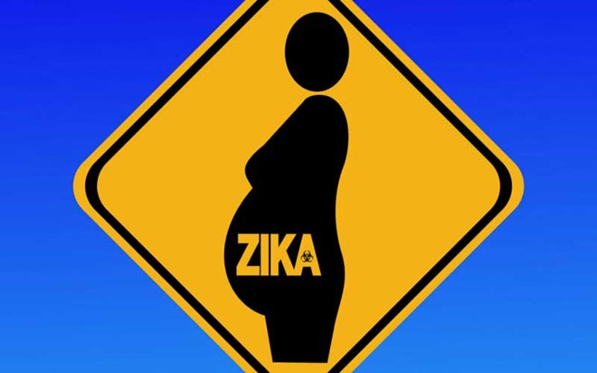 Virus Zika có thể gây dị tật đầu nhỏ ở thai nhi. Ảnh: Holidayextras.