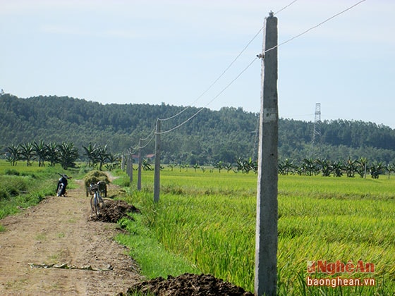 Sau gần 5 tháng thi công 2 tuyến đường điện dài 2km đã hoàn thành và đưa vào sử dụng.