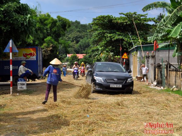 Rơm rạ tràn ngập trên tuyến đường Tỉnh lộ 533 (đoạn qua huyện Thanh Chương) gây cản trở nghiêm trọng trong việc giao thông đi lại của người dân.