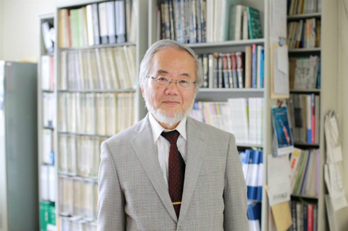 Nhà khoa học Yoshinori Ohsumi. Ảnh: Reuters
