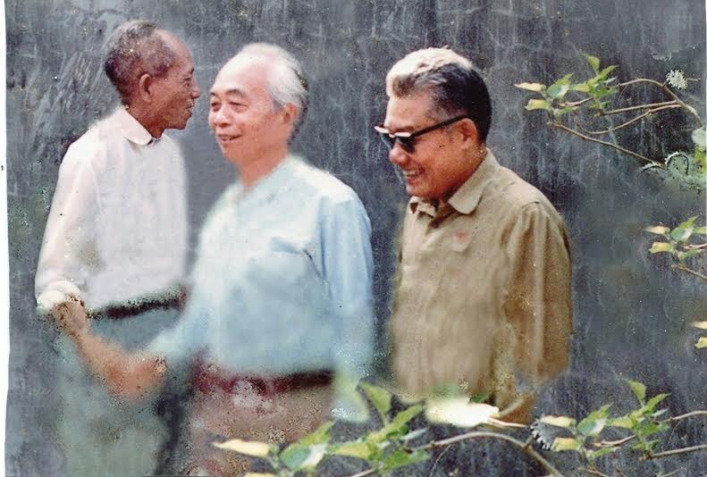 Tướng Giáp, Đại tướng Võ Nguyên Giáp